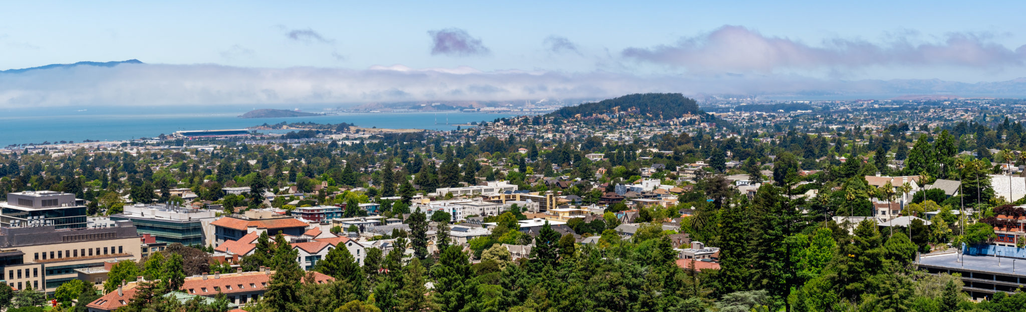 Berkeley California Bay City Skyline GIS